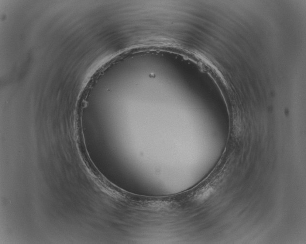 X0000077321085200611031659