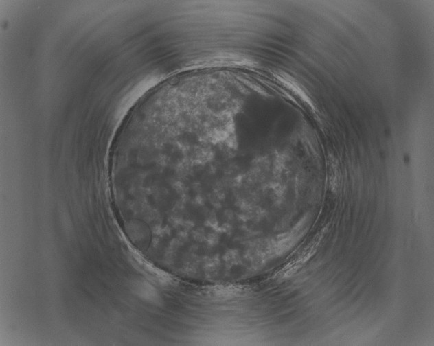 X0000077321087200611031659