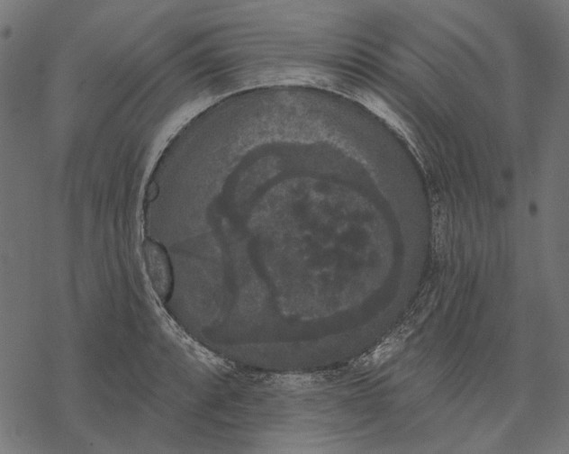 X0000077321088200611031659