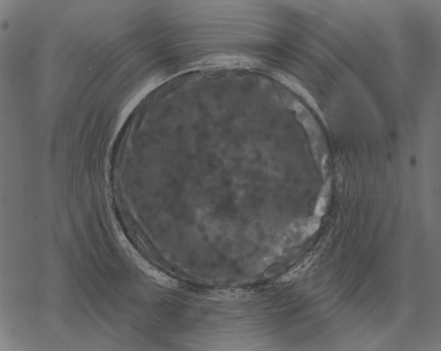 X0000077321091200611031659