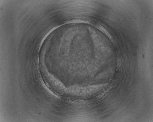 X0000077321092200611031659