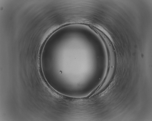 X0000077321093200611031659