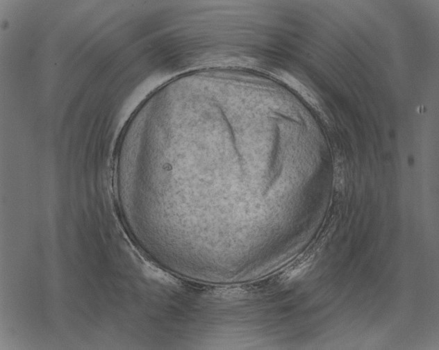 X0000077321094200611031659