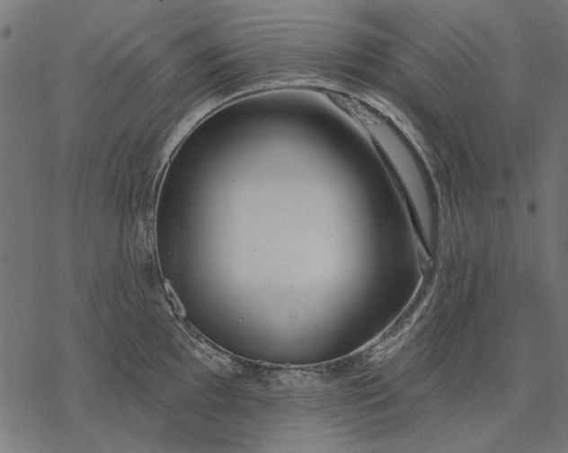 X0000077321097200611031659