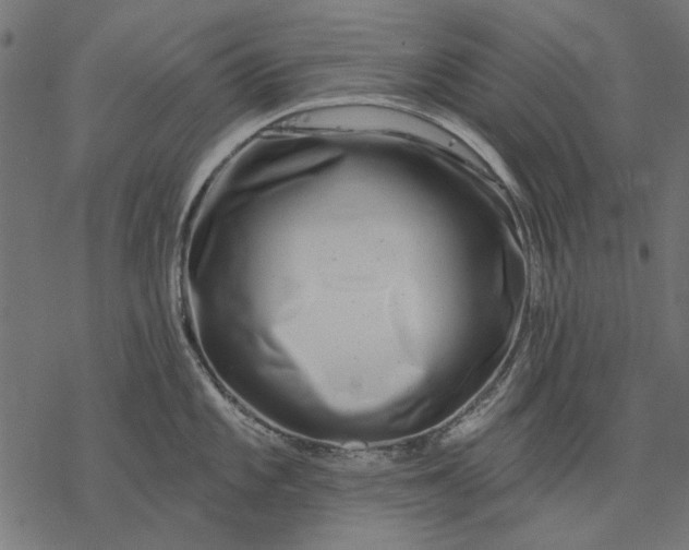 X0000077321101200611031659