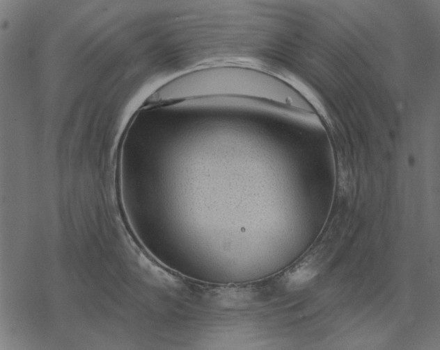 X0000077321102200611031659