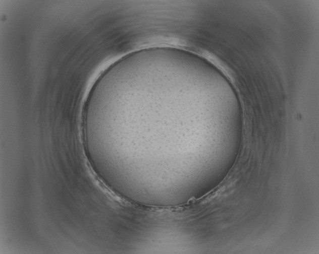 X0000077321104200611031659