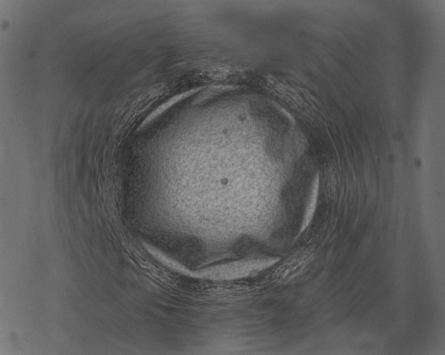 X0000077321105200611031658