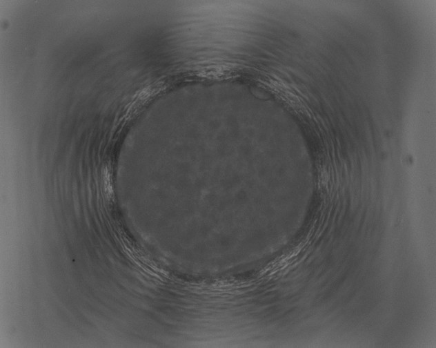 X0000077321106200611031658