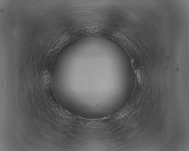 X0000077321107200611031658