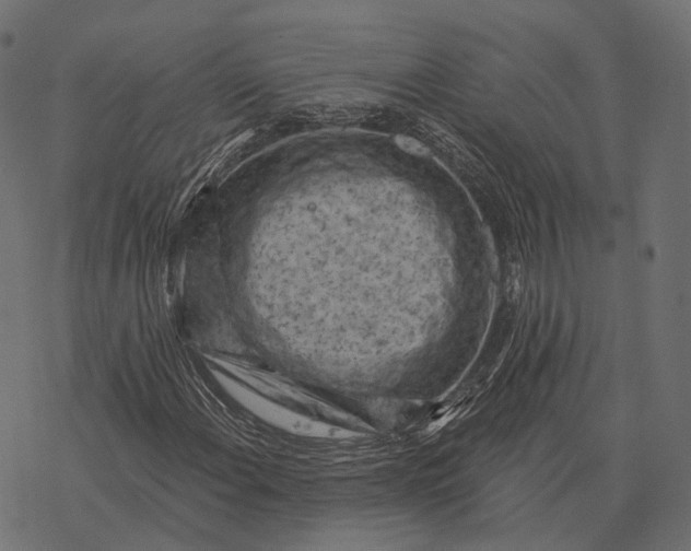 X0000077321108200611031658