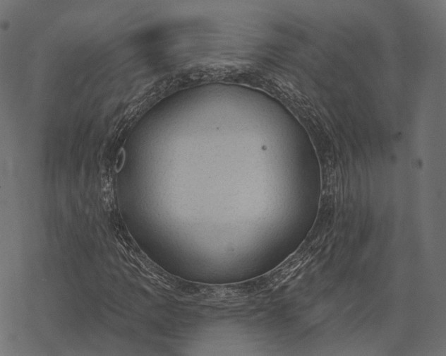 X0000077321109200611031658