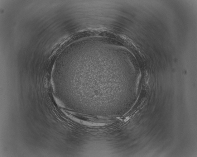 X0000077321110200611031658