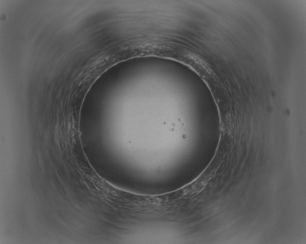 X0000077321111200611031658