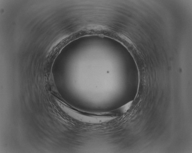 X0000077321112200611031658