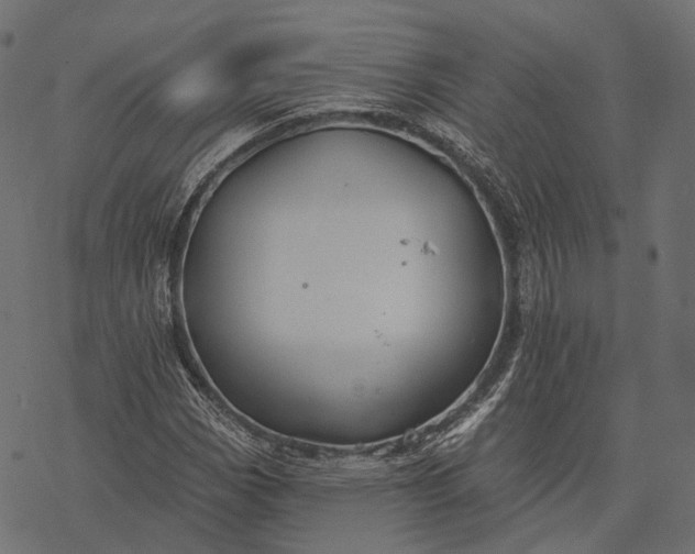 X0000077321113200611031658