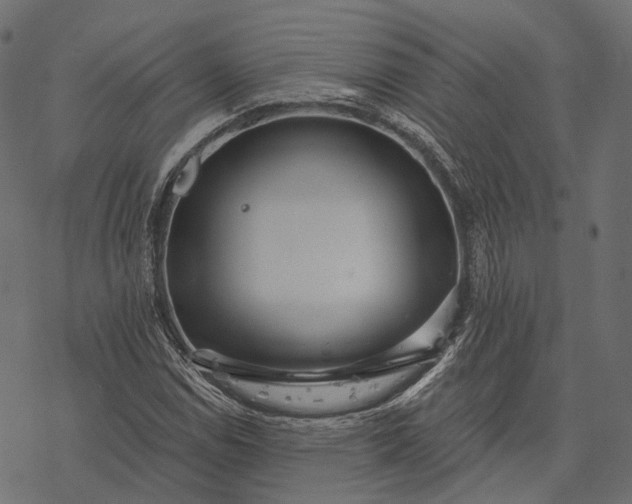 X0000077321114200611031658