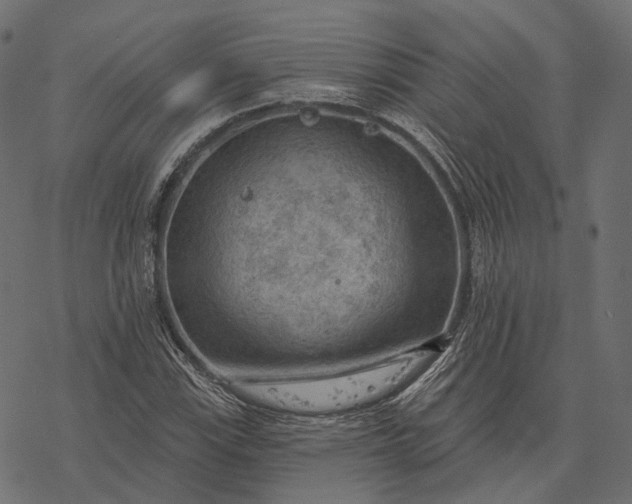 X0000077321115200611031658