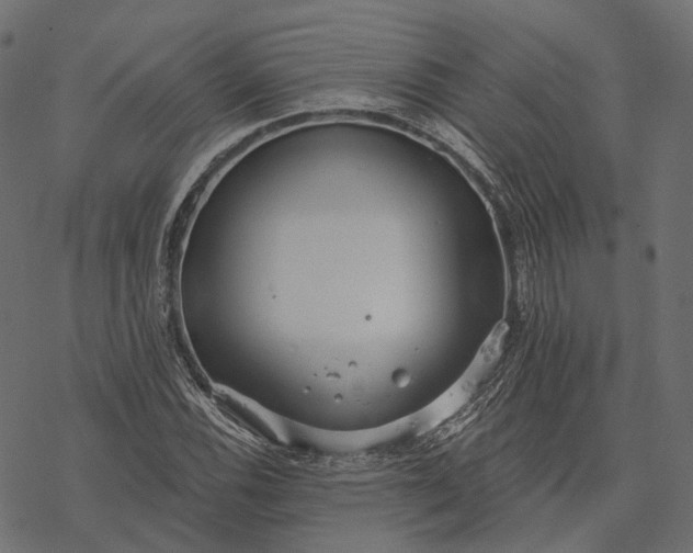 X0000077321116200611031658