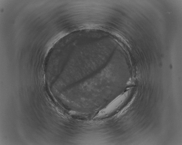 X0000077321117200611031658