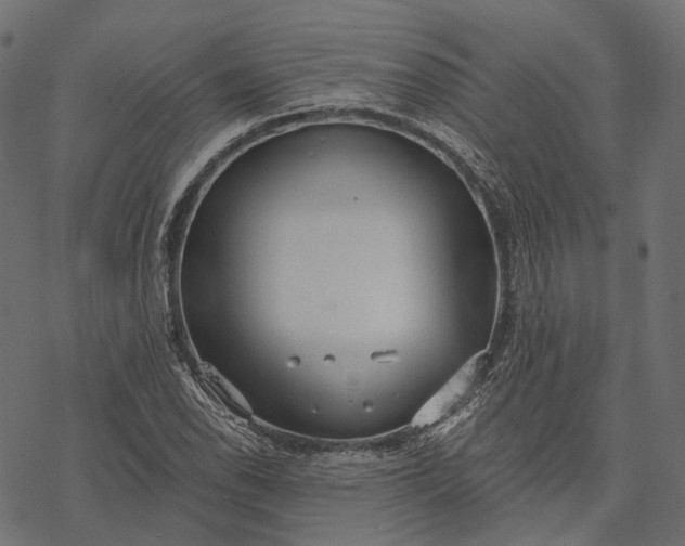 X0000077321118200611031658