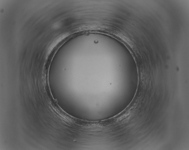 X0000077321119200611031658