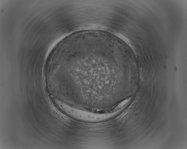 X0000077321120200611031658