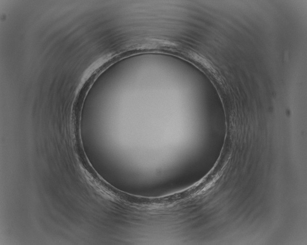 X0000077321122200611031658