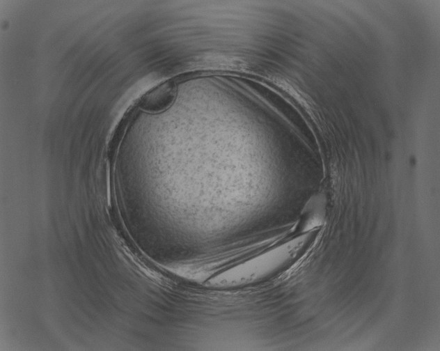 X0000077321123200611031658