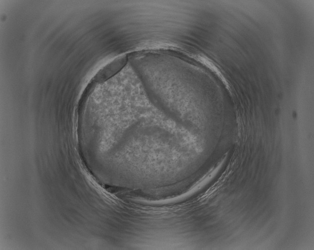 X0000077321124200611031658