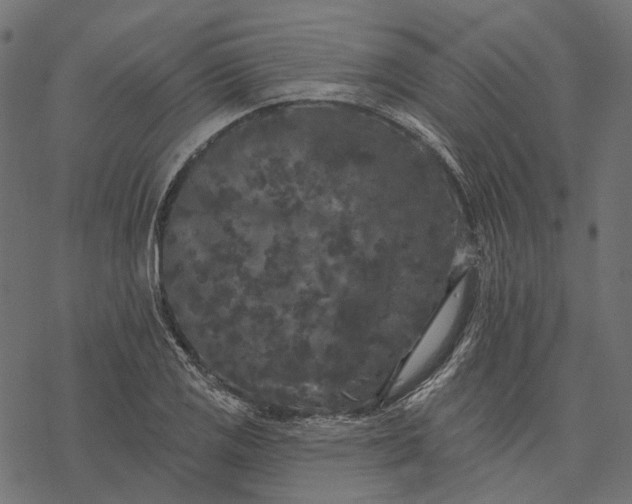 X0000077321125200611031658