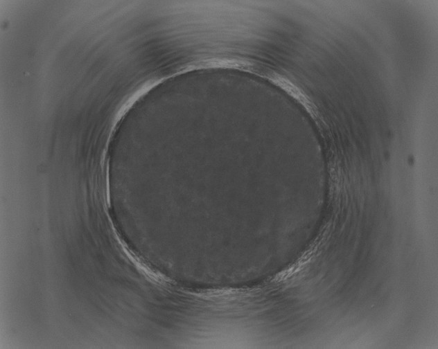 X0000077321127200611031659