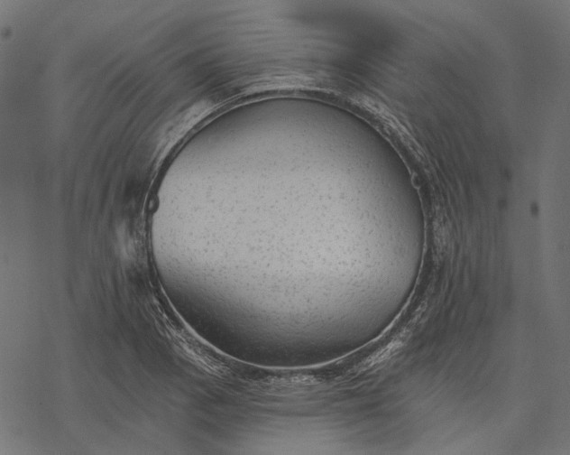 X0000077321129200611031659