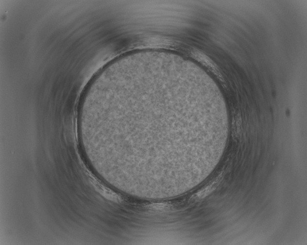 X0000077321130200611031659