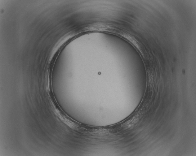 X0000077321131200611031659