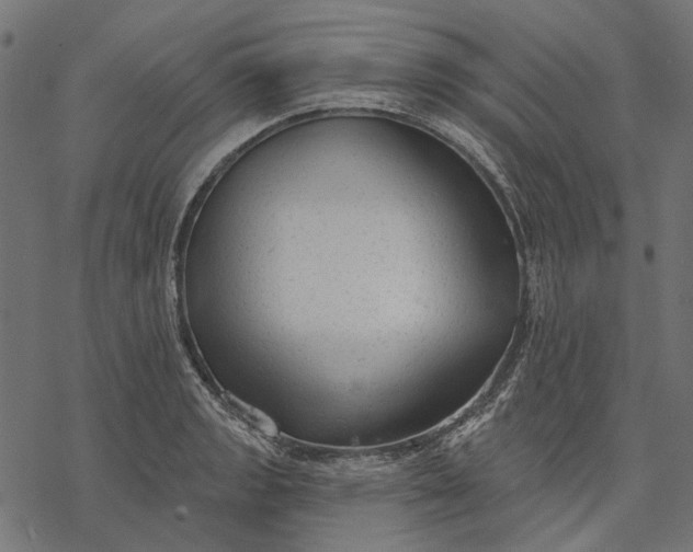 X0000077321133200611031659