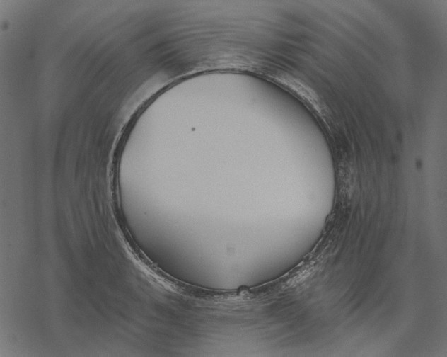 X0000077321135200611031659