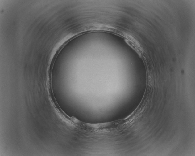 X0000077321136200611031659