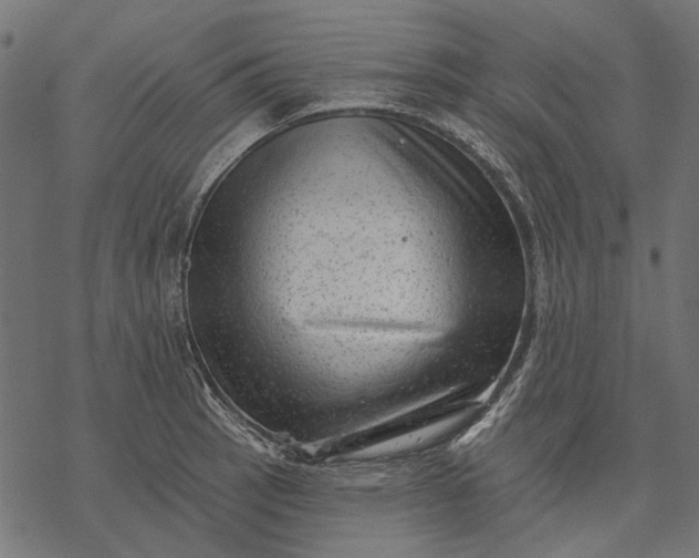 X0000077321137200611031659