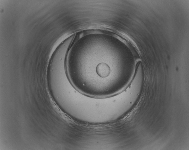 X0000077321138200611031659