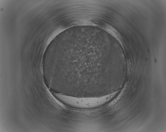 X0000077321141200611031659