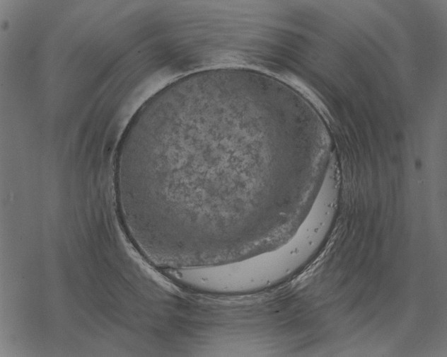 X0000077321142200611031659