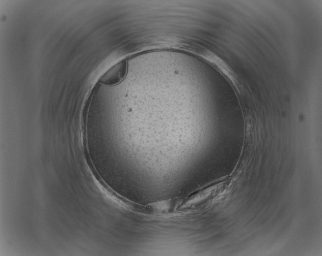 X0000077321143200611031659