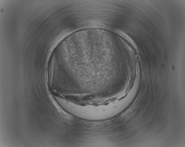 X0000077321144200611031659