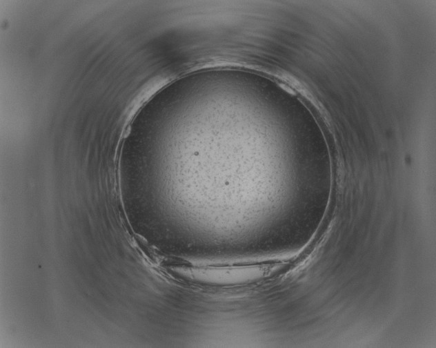 X0000077321145200611031659