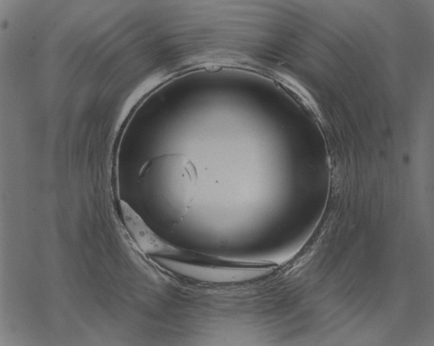 X0000077321146200611031659