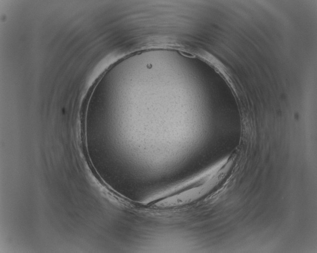 X0000077321147200611031659