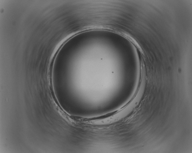 X0000077321148200611031659