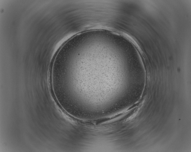 X0000077321149200611031659