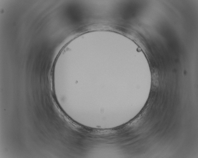 X0000077321150200611031659